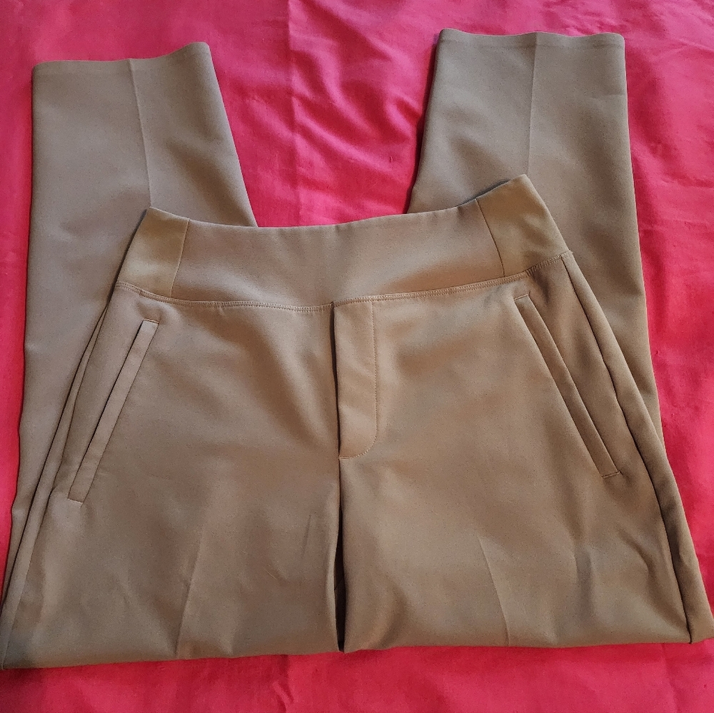 Athleta Tan Endless Pants Petite